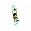 Skate Completo Powell Peralta Ripper One Off Birch LT Blue 7.5