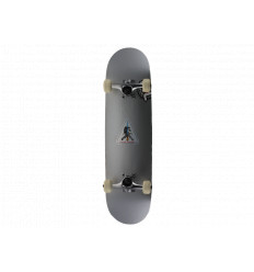 MiniLogo Skate Deck
